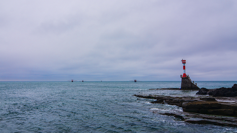 中国本土でAI海洋予測「Feiyu-1.0」公開、南シナ海の台風・生態系に照準