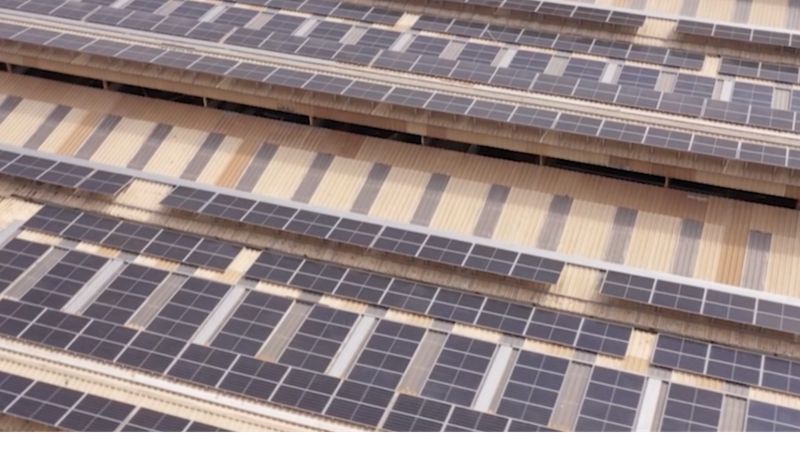 エジプト、2030年に再エネ42％へ　中国との技術・投資連携がカギ video poster