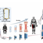 超軽量4.5kgの“縮む”ソフト人型ロボ「GrowHR」 中国本土で試作公開