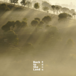 雲南省プーアルの冬の朝、雲海がほどけて現れる茶畑のレイヤー