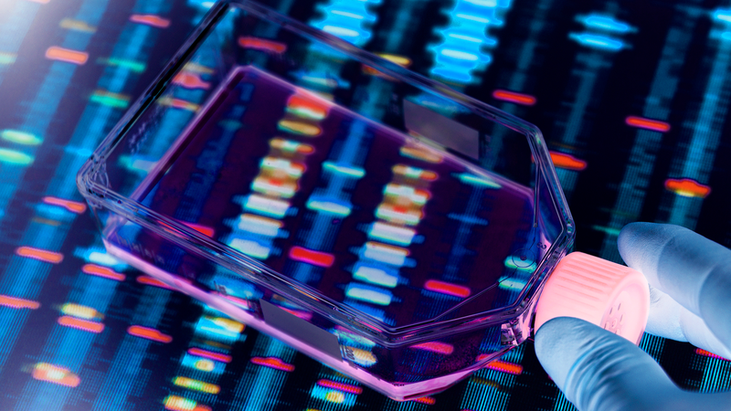 Nature掲載：中国チームの新遺伝子編集、 自閉症様マウスの行動が「正常化」