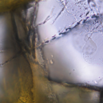 中国本土・青海・西蔵高原で「天然水素」発生の手がかり　オフィオライト岩体に注目