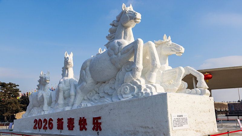 中国本土・東北の雪旅で「ポテト」呼び？南アフリカ出身者が見た寒さと温かさ