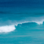 UNESCOが警鐘：海の炭素吸収の「空白」が気候予測を揺らす