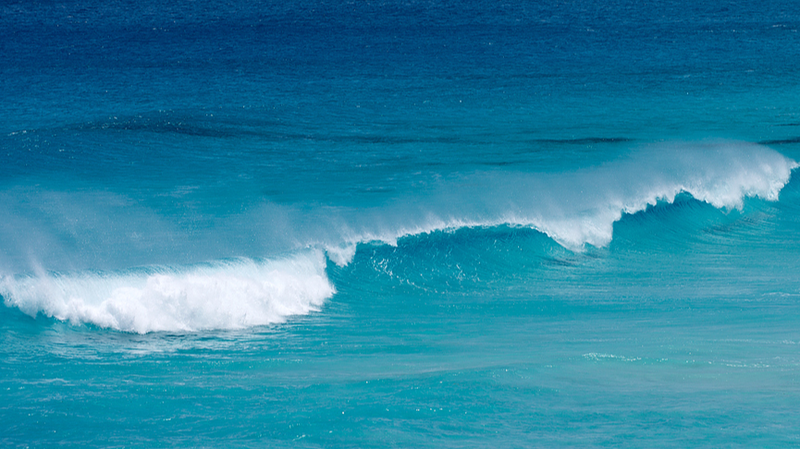 UNESCOが警鐘：海の炭素吸収の「空白」が気候予測を揺らす