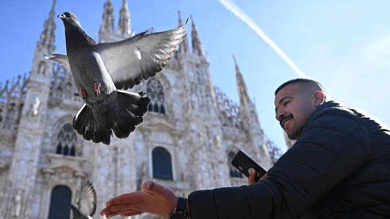 ミラノ・ドゥオーモ広場、時を超える美と冬季五輪の熱気が交差（2026年2月） video poster