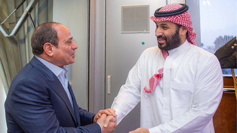 エジプトとサウジ、ガザ停戦維持を要請　米支持の和平案推進でも一致