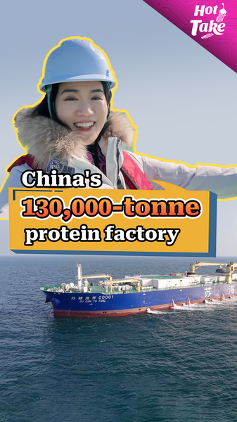 中国本土の「海を走る養殖工場」Suhai-1、深海タンパクを食卓へ video poster