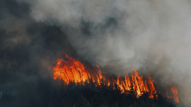 米国で山火事の煙が年2.4万人超の死亡と関連　粒子状汚染の長期影響
