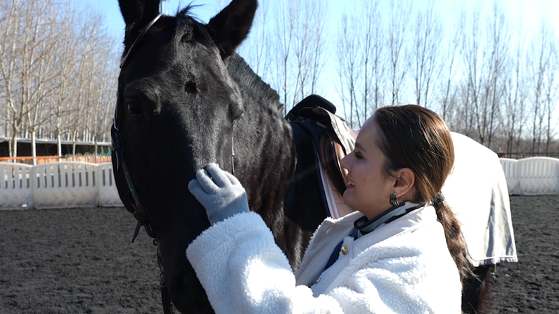 午年（馬の年）がもうすぐ到来：スピードと自由が象徴する「動き」の一年へ video poster