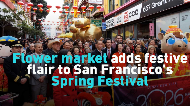 サンフランシスコで春節の花市、米国でも続く屋外フラワーマーケットの熱気 video poster