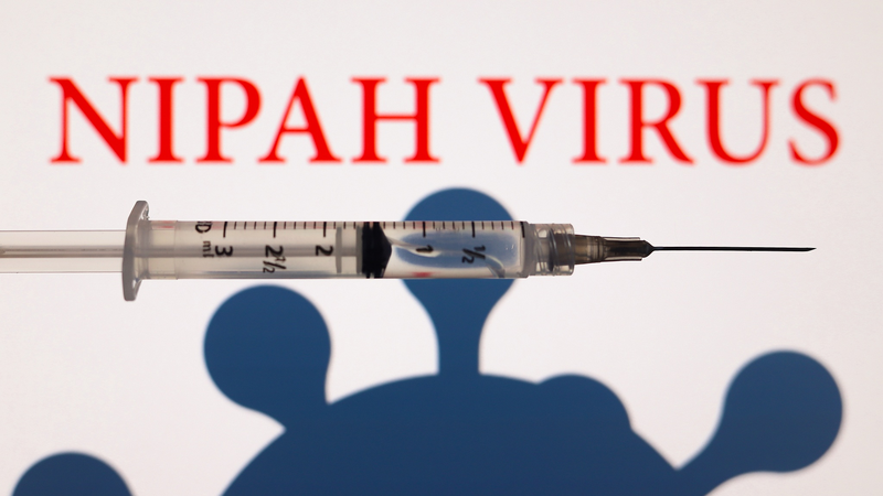 バングラデシュでニパウイルス死亡例、WHO「公衆衛生リスクは低い」
