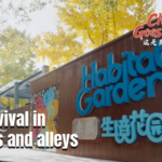 Y54MV4ZGI9OZ156JPDCR - NewsTomo – 日本語で読む、世界のニュースハブ 中国本土で進む街角の緑化再生 上海・福州の“すき間”が緑のオアシスに video poster