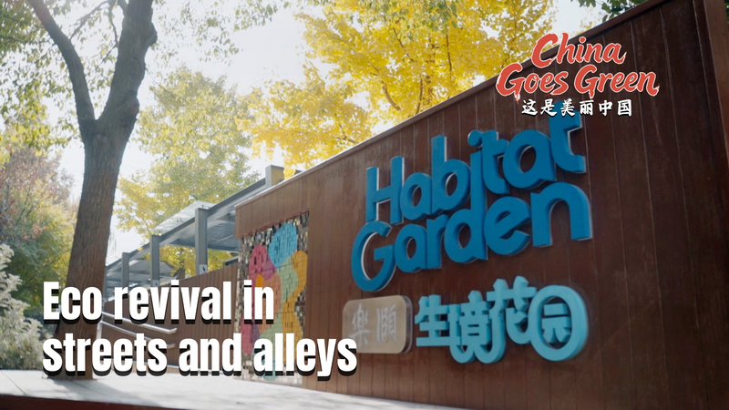 中国本土で進む街角の緑化再生　上海・福州の“すき間”が緑のオアシスに video poster