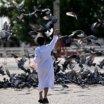 世界は「協調」か「弱肉強食」か――国際秩序をめぐる論考が投げかける問い