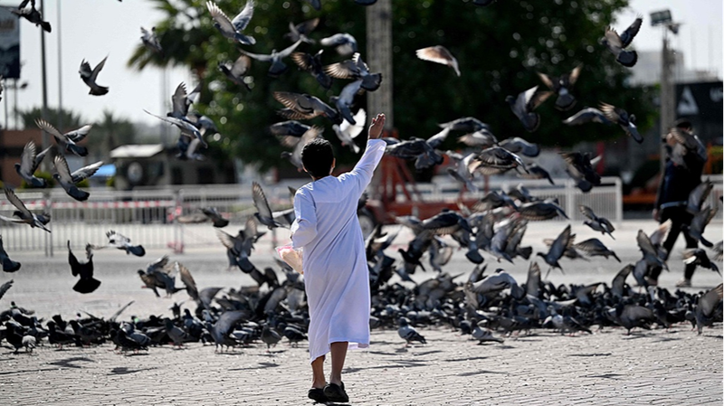 世界は「協調」か「弱肉強食」か――国際秩序をめぐる論考が投げかける問い