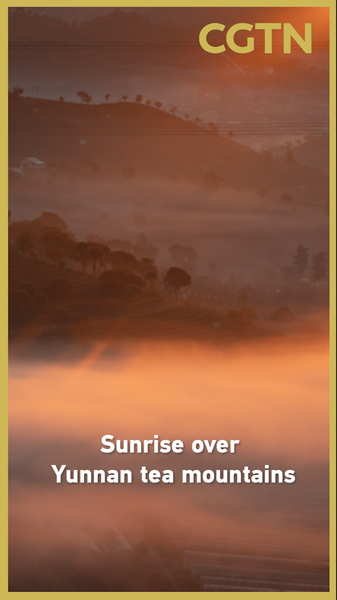 春節の朝、雲南・普洱の茶山に昇る光──霧と雲がつくる静かな景色 video poster