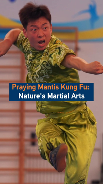 蟷螂拳とは？カマキリの動きを写す中国武術、その哲学と強み video poster