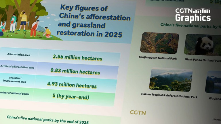 中国本土の2025年植林356万ha、草地改善493万ha　統計が示す回復の輪郭