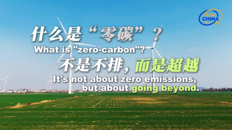 中国本土の小さな島が再エネで3万2千人を電力供給—「ゼロカーボン島」の暮らし video poster