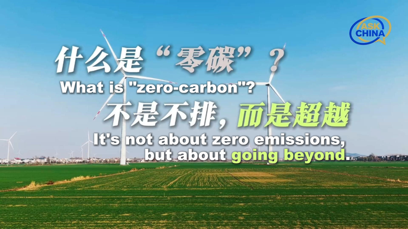 中国本土の小さな島が再エネで3万2千人を電力供給—「ゼロカーボン島」の暮らし video poster