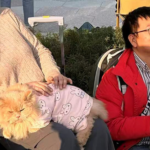 成都発の新ネット番組「加油汪汪」 急拡大する中国本土のペット経済を追う