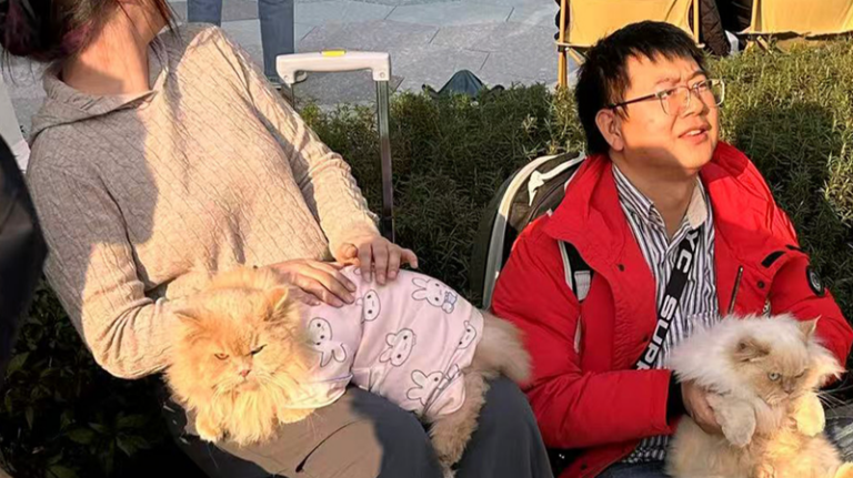 成都発の新ネット番組「加油汪汪」 急拡大する中国本土のペット経済を追う