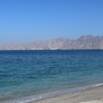 ホルムズ海峡で船員少なくとも6人死亡　IMOが「標的にするな」と警鐘