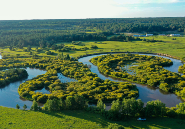 中国本土の森林・草地被覆率が56%超に　国家緑化委員会が報告