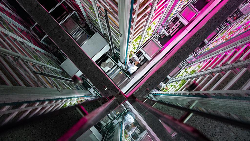 深海養殖船「Suhai-1」に見るスマート農業の現在地—AIとIoTで仕事も変わる