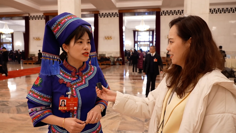 中国本土の第15次五カ年計画（2026-2030）承認：AI・高齢者ケア・グリーンの焦点 video poster