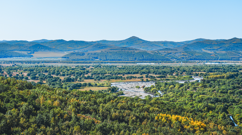 内モンゴル、第14次五カ年計画の成果と第15次への視界：経済・生態・エネルギー