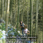 中国本土・安吉の竹林から始まる農村再生：幼い記憶を“暮らし”に変えた女性 video poster