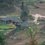 霧と棚田に目覚めるミャオ族の山村――木造家屋が語る共生の風景