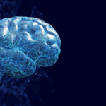 DHH8BSWTNVMM0IIMSA06 - NewsTomo – 日本語で読む、世界のニュースハブ 中国本土の研究者が「概念形成AI」CATS Net提案、視覚・聴覚から新概念を自律生成