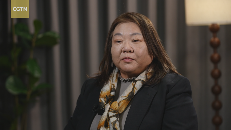 国連関係者が中国本土の「グリーン転換」を評価、グローバルサウス支援の文脈で video poster