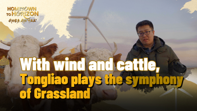 中国本土・通遼、「牛肉」と風力で描く十五五の成長シナリオ video poster