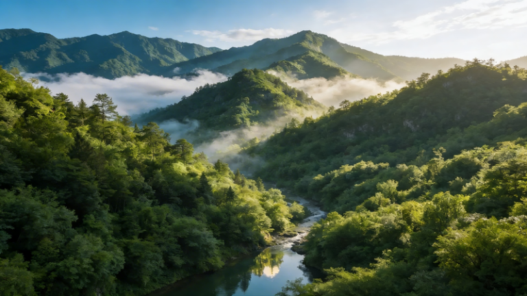 中国、政府活動報告で「全面的なグリーン転換」加速を表明 video poster