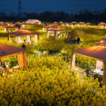 中国本土の「花経済」今春は“春を味わう旅”へ——菜の花畑で火鍋も