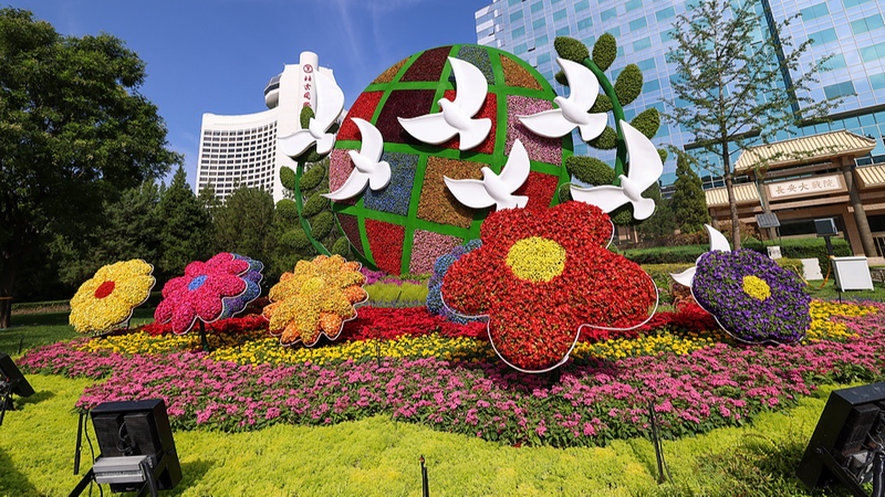 王毅外相「首脳外交は中国外交のアンカー」—全人代会見で強調