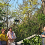 武漢で120年の古木をハグ　市民が公園で「守る」意思を可視化