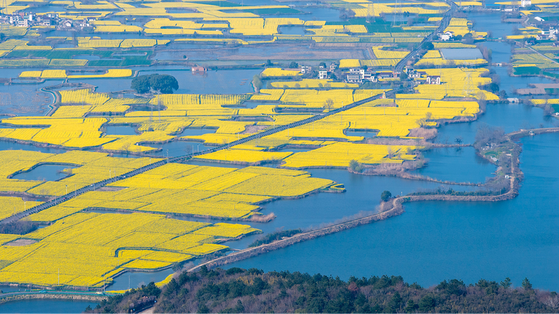 中国の「生態・環境法典」成立、緑の改革を“法典”に落とし込む意味