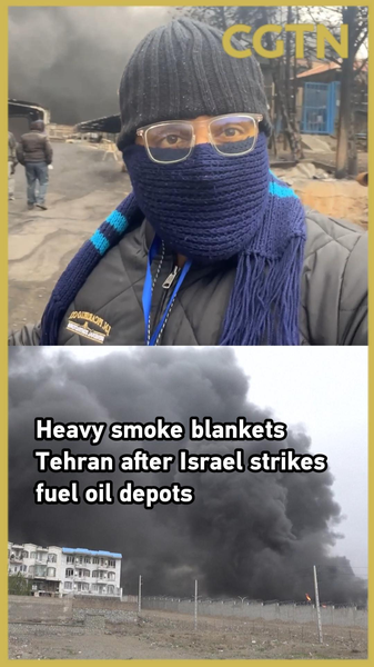 テヘランに黒煙、イスラエルが燃料油施設攻撃　供給網損傷で復旧に数日か video poster