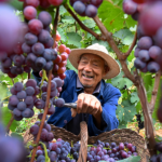 習近平指導の貧困脱却を記す新刊、党学校出版社から全国配本