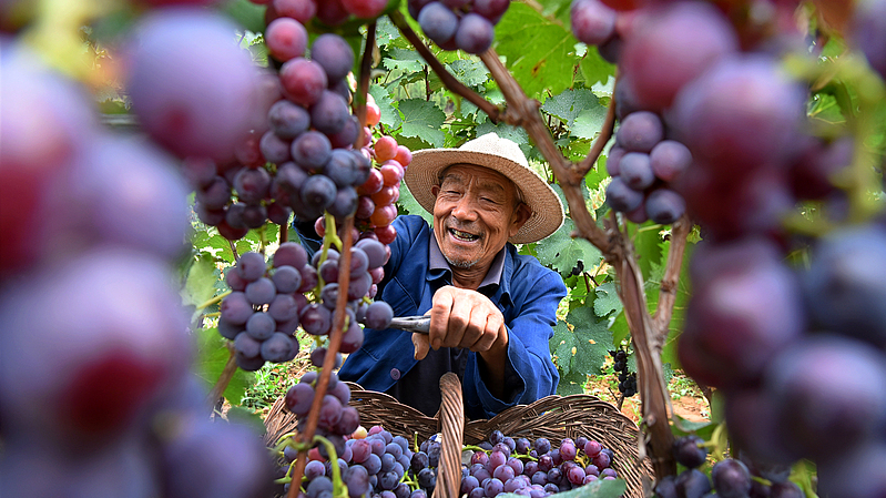 習近平指導の貧困脱却を記す新刊、党学校出版社から全国配本