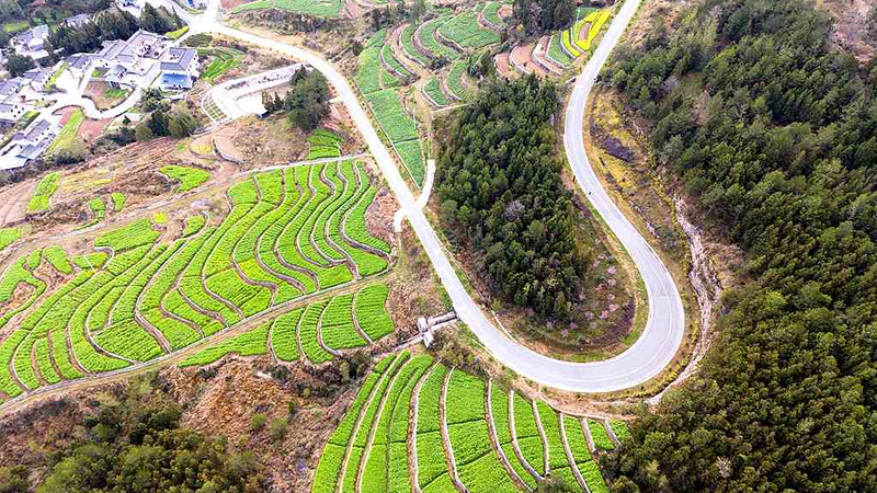 中国の貧困削減、国際社会が評価　CPPCC報道官が成果と協力を説明