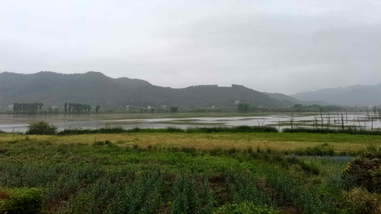 O13D36VBQGOP9YTI6ELM - NewsTomo – 日本語で読む、世界のニュースハブ 中国の自然保護区規則が本日施行:二つのゾーンで「一律管理」から転換へ