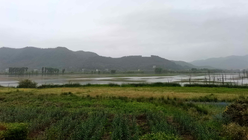 中国の自然保護区規則が本日施行：二つのゾーンで「一律管理」から転換へ