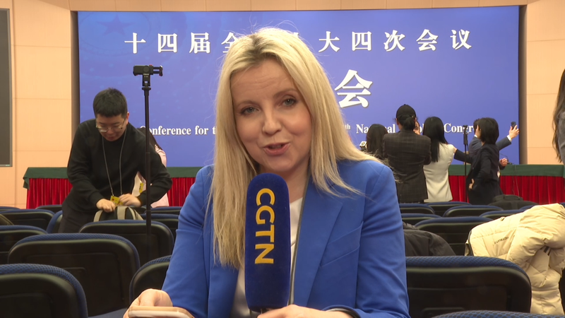 王毅外相会見に海外記者が注目：中国外交が示した「安定」のメッセージ video poster