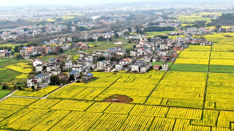 中国首相、貧困対策の成果を固め農村振興へ　2026年の重点方針を表明